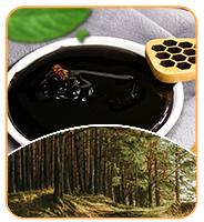 Hot Selling High Quality Sidr Honey Food Grade Honey Product 100% Pure Natural Sidr Honey in Bulk Packaging 5