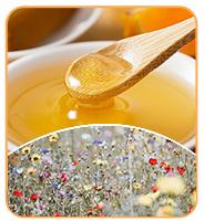 Hot Selling High Quality Sidr Honey Food Grade Honey Product 100% Pure Natural Sidr Honey in Bulk Packaging 6