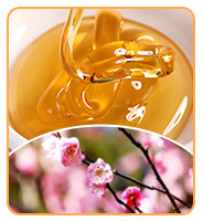 Hot Selling High Quality Sidr Honey Food Grade Honey Product 100% Pure Natural Sidr Honey in Bulk Packaging 7