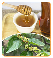 Hot Selling High Quality Sidr Honey Food Grade Honey Product 100% Pure Natural Sidr Honey in Bulk Packaging 9