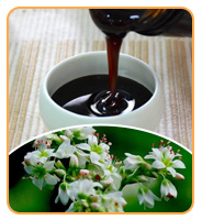 Hot Selling High Quality Sidr Honey Food Grade Honey Product 100% Pure Natural Sidr Honey in Bulk Packaging 10