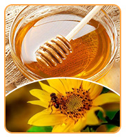 Hot Selling High Quality Sidr Honey Food Grade Honey Product 100% Pure Natural Sidr Honey in Bulk Packaging 12