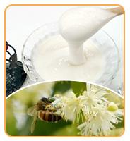 Hot Selling High Quality Sidr Honey Food Grade Honey Product 100% Pure Natural Sidr Honey in Bulk Packaging 11