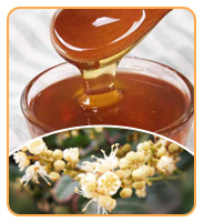 Hot Selling High Quality Sidr Honey Food Grade Honey Product 100% Pure Natural Sidr Honey in Bulk Packaging 13