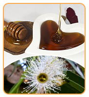 Hot Selling High Quality Sidr Honey Food Grade Honey Product 100% Pure Natural Sidr Honey in Bulk Packaging 14