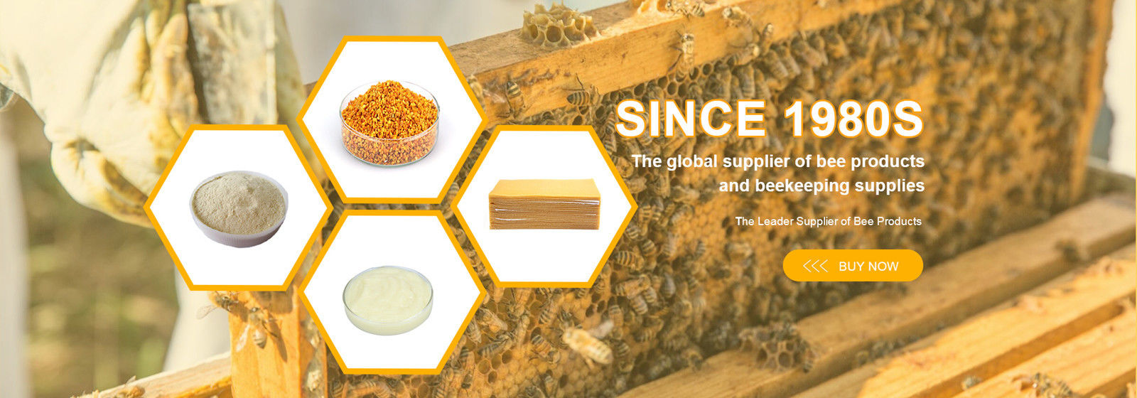 China best Bee Propolis Extract on sales