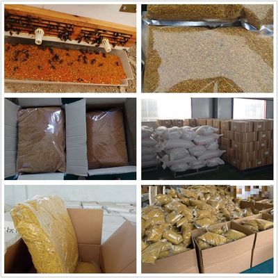 Hot Sale High Quality Sunflower Mixed Bee Pollen Manufacturer Supply Bulk Fresh Wild Sunflower Mixed Bee Pollen
