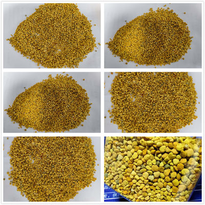 Manufacturer Supply Bulk New Harvest Mixed Bee Pollen Premium Bee Product Fresh Rape Mixed Bee Pollen