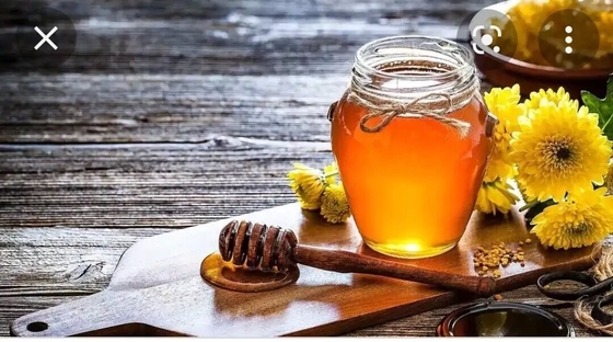 Best Quality Yemen Sidr/Sider Honey Organic Liquid Honey