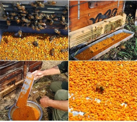 Wholesale Bulk Fresh Organic Tea Pollen Bee Farm Directly Supply High Quality Natural Tea Bee Pollen Granules
