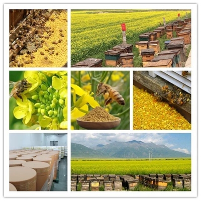 Best Price for Sale High Quality Rape Bee Pollen Daily Dietary Supplement 100% Pure Natural Yellow Rape Bee Pollen Granules