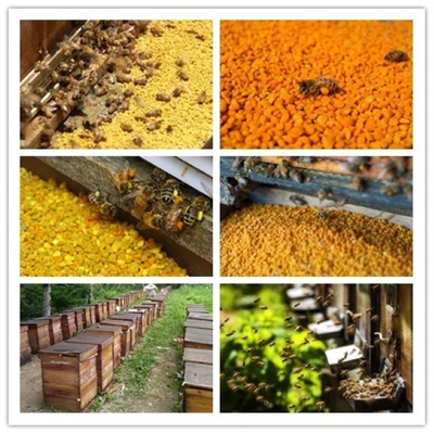Manufacturer Supply Food Grade Fresh Rape Mixed Bee Pollen High Quality Bee Product Yellow Rape Mixed Bee Pollen