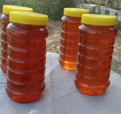 100% Pure Natural Jujube Honey Bulk Food Grade 25kg Drum Wholesale Factory Supply for Health Food