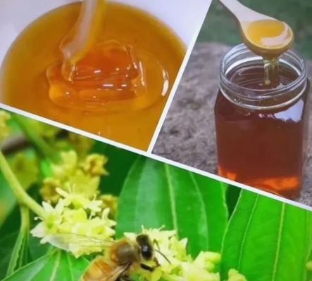 100% Fresh Organic Sidr Honey High Nutritional Value Honey High Quality Food Grade Sidr Honey in Bulk Packaging