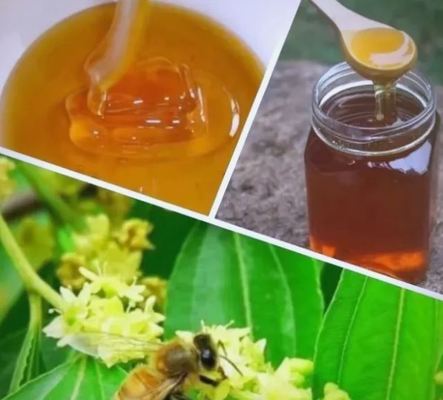 100% Pure Natural Jujube Honey Bulk Food Grade 25kg Drum Wholesale Factory Supply for Health Food