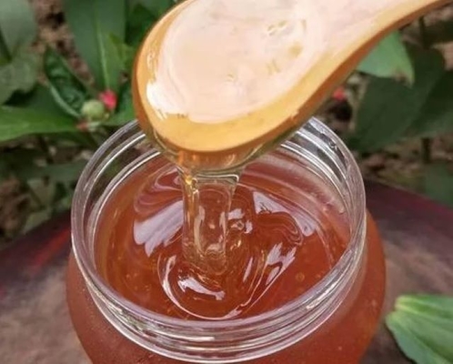 High Quality Pure Natural Sidr Honey 100% Fresh Organic Honey Product New Season Harvest Food Grade Amber Sidr Honey