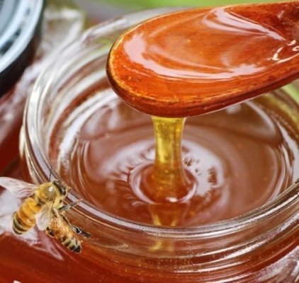 High Quality Pure Natural Sidr Honey 100% Fresh Organic Honey Product New Season Harvest Food Grade Amber Sidr Honey