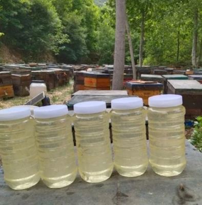 100% Pure Organic Wild Honey Halal Certified Bulk Packed for Export to Europe High Quality Fresh Acacia Honey