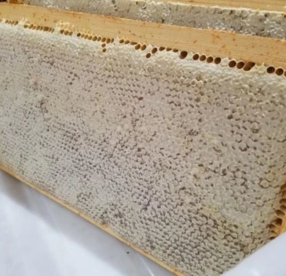 100% Pure Natural Food Grade Honeycomb Affordable Health Supplement High Quality Fresh Honeycomb in Box Packaging