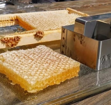 100% Pure Natural Food Grade Honeycomb Affordable Health Supplement High Quality Fresh Honeycomb in Box Packaging