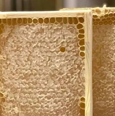 100% Pure Natural High Quality Honeycomb Food Grade Health Supplement Wholesale Bulk Fresh Organic Honeycomb