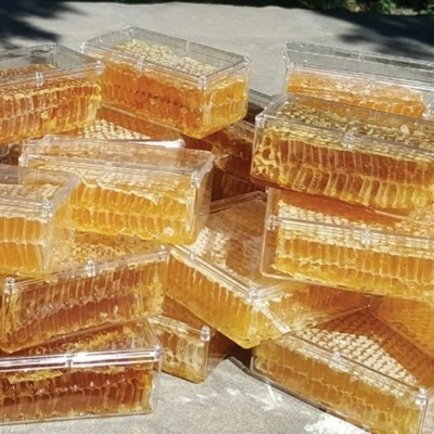 100% Pure Natural Food Grade Honeycomb Affordable Health Supplement High Quality Fresh Honeycomb in Box Packaging