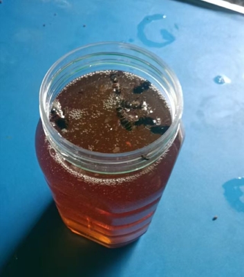 OEM Factory Supply High Quality Dark Amber Eucalyptus Honey Natural Herbal Extract Food Grade Fresh Eucalyptus Honey
