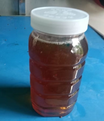 OEM Factory Supply High Quality Dark Amber Eucalyptus Honey Natural Herbal Extract Food Grade Fresh Eucalyptus Honey
