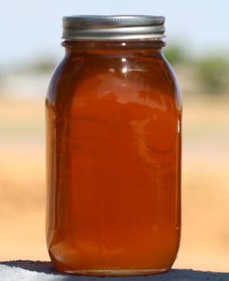 100% Pure Natural Wild Eucalyptus Honey High Quality Edible Bee Product Food Grade Fresh Eucalyptus Honey