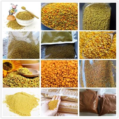New Season Harvest 100% Pure Natural Tea Bee Pollen Granules Superfood High Potency Wholesale Bulk Top Quality