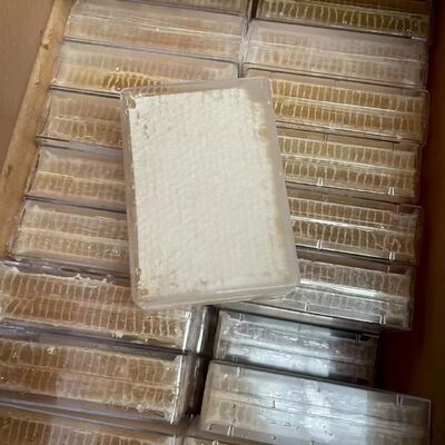 500g Pure Natural Raw Honeycomb High Quality Bee Product Food Grade Fresh Honeycomb in Boxes Packaging