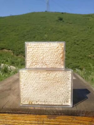 Factory Supply Bulk Food Grade Honeycomb 100% Pure Natural Organic Comb Honey