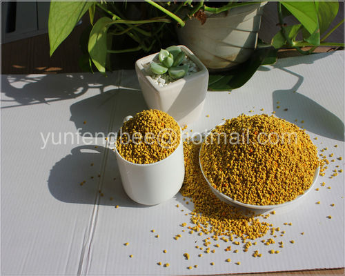 Newest Cosmetic pure rape bee pollen granule