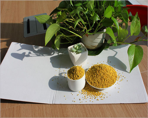 supply high quality mixed bee pollen, rape bee pollen, tea bee pollen