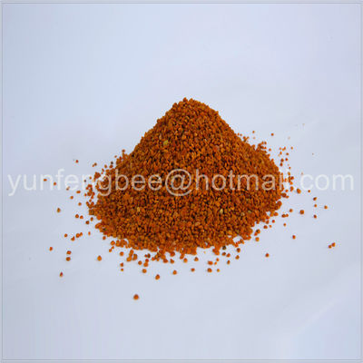 Free Sample Raw Pollen Granules Natural Camellia Pollen Extract Powder