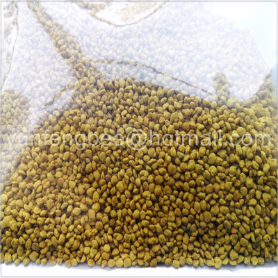 Low Moisture Raw Pollen Granules Anti Aging Fresh Natural Bee Pollen