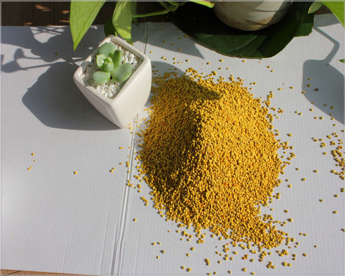 Manufacturer Supply Purity Natural Sweet Rape Bee Pollen