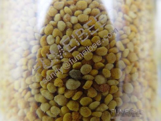 China Manufactory Naturally Pharamacy Pine Bee Pollen Powder