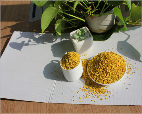 Miex Yellow Fresh Nature Bee Power Pollen Granules ISO Approved