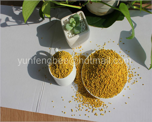 Fresh Natural Moisture Multi Flower B Pollen Granules For Human Edible