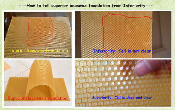 Europe Bee Comb Foundation / Natural Beeswax Sheets For Candle Making