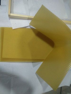 Pure Natural Beeswax Comb Foundation Sheet