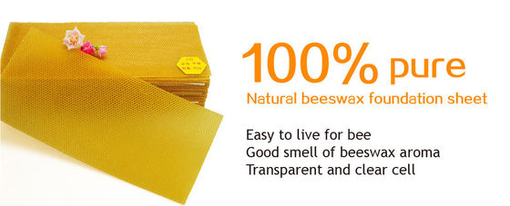 Yellow Color Comb Foundation Sheet , Bee Comb Foundations For Beehives