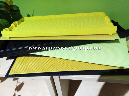 Plastic Bee Foundation Sheets For Beekeepers