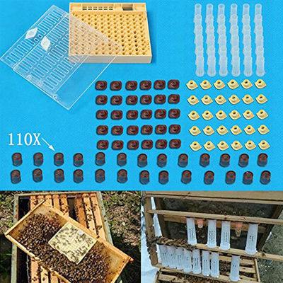 Popular Honey Bee Tools No Graft Queen Rearing System Complete Set