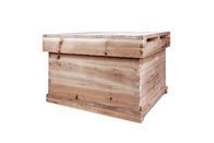 Double Layer Bee Hive Equipment Pine Wood Chinese Beehive Australian Standard