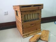 Chinese Wax-Coated Cedar Wood Automatic Self-Flowing Honey Bee Hive & 7 Auto Frames Apiculture Beekeeping Equipment Tool