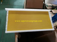 Beekeeping langstroth plastic beehive bee frame with plastic sheet supplier