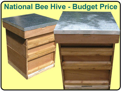 Red Cedar British National Hive 10 Frame Size Customized With Double Layer