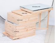 Wooden 8 / 10 Frame Langstroth Beehive Double Layer For Beekeeping Equipment